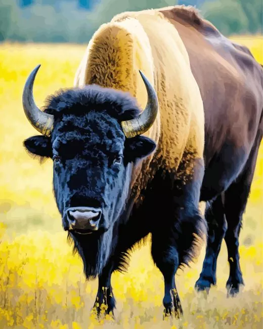 black Bison animal Diamond Paintings Black Bison Animal Diamond Painting