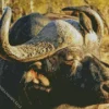 Black Buffalo Diamond Painting