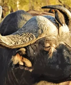 Black Buffalo Diamond Painting