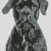 Black Cane Corso Dog Diamond Painting