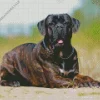Black Cane Corso Dog Art Diamond Painting