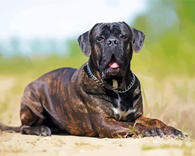 black Cane Corso dog art Diamond Paintings Black Cane Corso Dog Art Diamond Painting