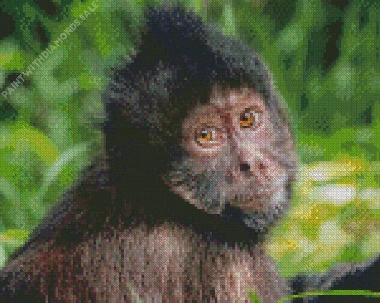 black Capuchin Monkey Diamond By Numbers Black Capuchin Monkey Diamond Painting