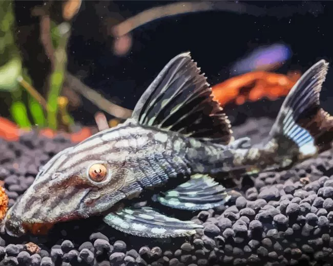 black Pleco Fish Diamond Paints Black Pleco Fish Diamond Painting