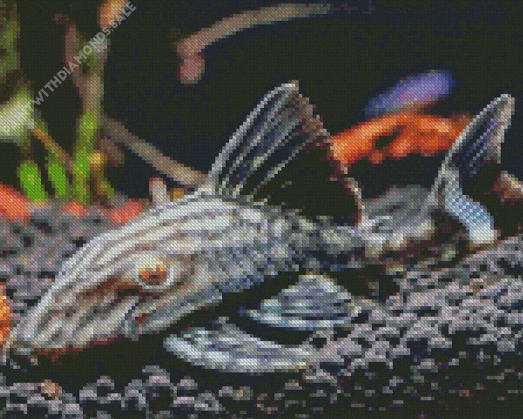 black Pleco Fish Diamond With Numbers Black Pleco Fish Diamond Painting