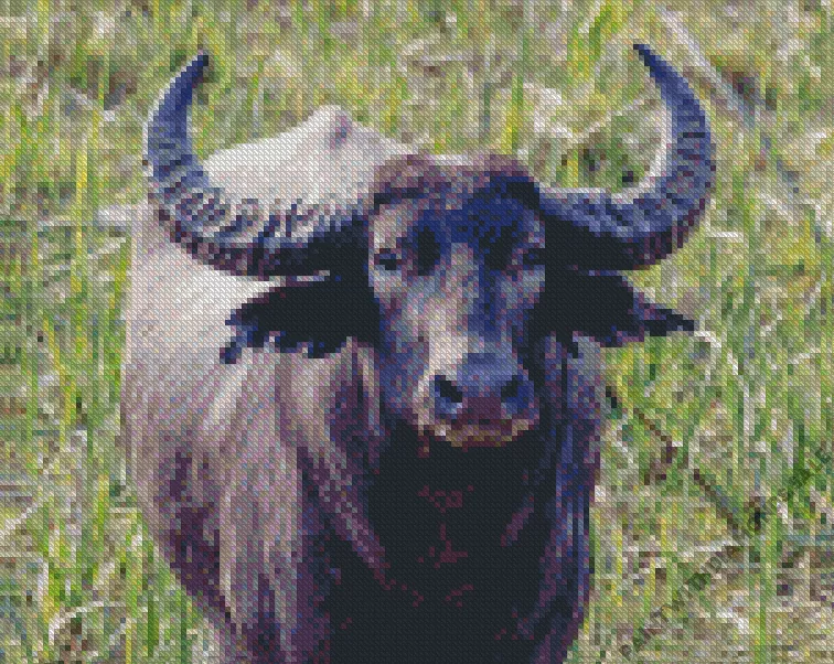 black Wild Water Buffalo art Diamond By Numbers Black Wild Water Buffalo Art Diamond Painting