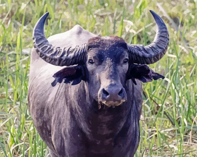 black Wild Water Buffalo art Diamond Paintings Black Wild Water Buffalo Art Diamond Painting