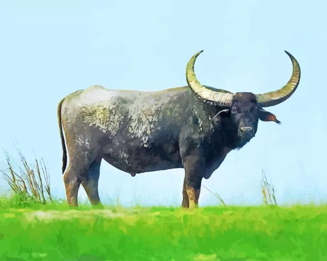 black Wild water buffalo Diamond Paintings Black Wild Water Buffalo Diamond Painting