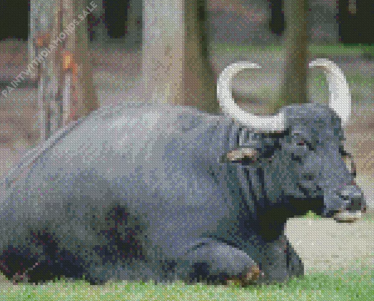 black Wild water buffalo animal Diamond By Numbers Black Wild Water Buffalo Animal Diamond Painting