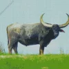 Black Wild Water Buffalo Diamond Painting
