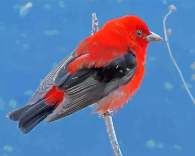 black and red Scarlet Tanager Diamond By Numbers Black And Red Scarlet Tanager Diamond Painting