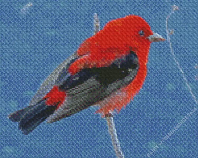 black and red Scarlet Tanager Diamond Dotz Black And Red Scarlet Tanager Diamond Painting