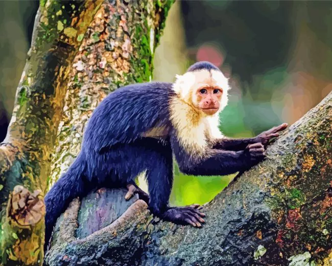 black and white Capuchin Monkey Diamond Paintings Black And White Capuchin Monkey Diamond Painting
