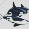 Black And White Orcas Diamond Painting