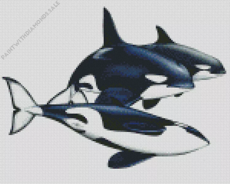 black and white Orcas Diamond Paintings Black And White Orcas Diamond Painting