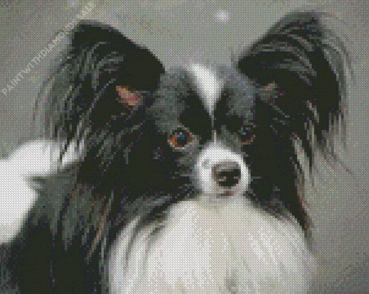 black and white Papillon dog Diamond Paints Black And White Papillon Dog Diamond Painting