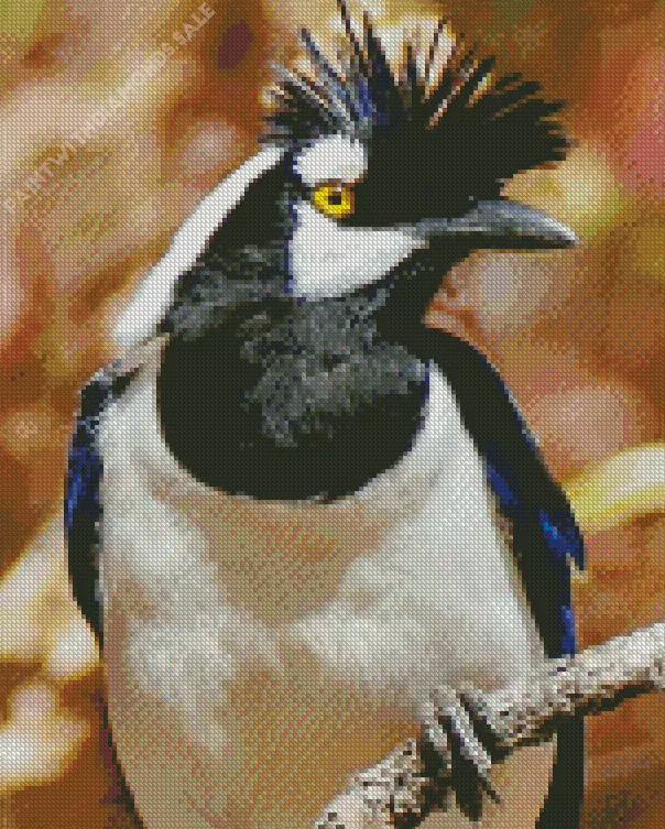 black and white Tufted Jay Diamond By Numbers Black And White Tufted Jay Diamond Painting