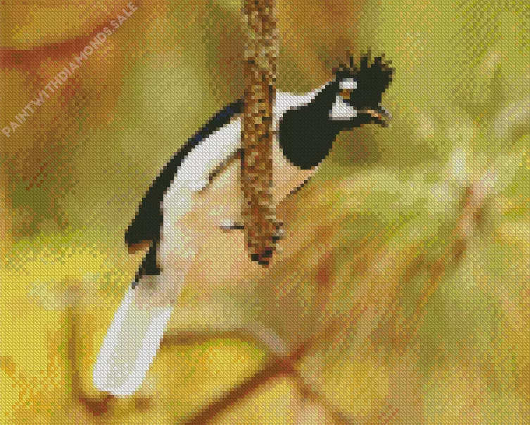 black and white Tufted Jay bird Diamond By Numbers Black And White Tufted Jay Bird Diamond Painting