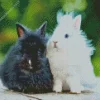 Black And White Angora Rabbit Diamond Painting