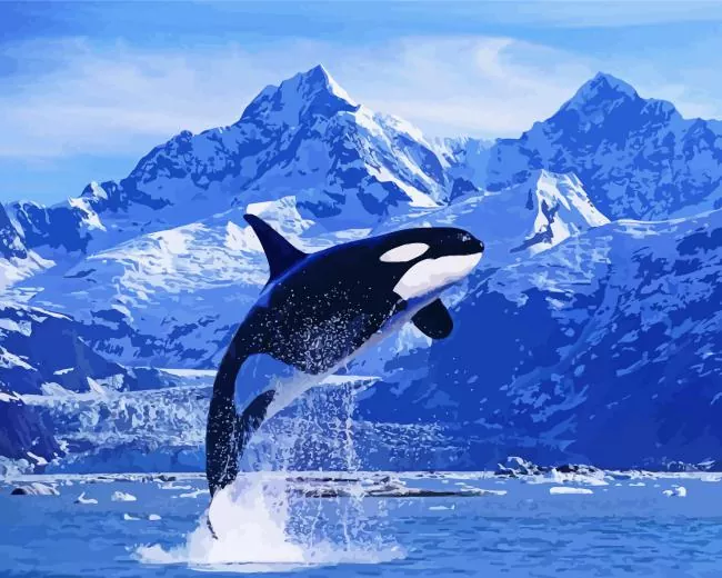 black and white whale Diamond With Numbers Black And White Whale Diamond Painting