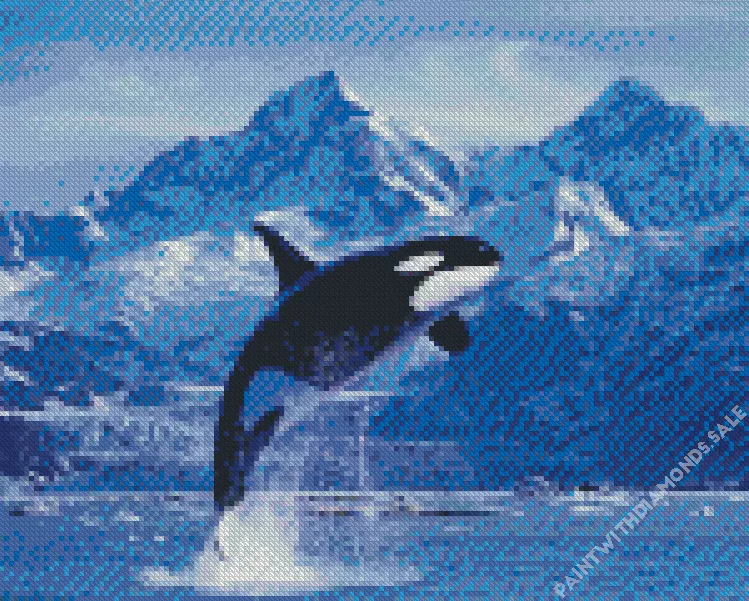 black and white whale4 Diamond Paintings Black And White Whale Diamond Painting