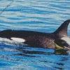 Black And White Whales Diamond Painting