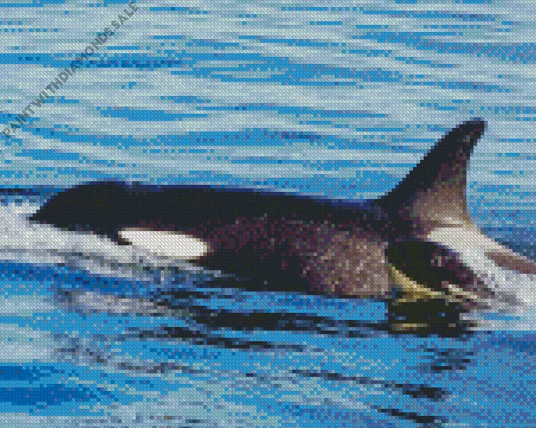 black and white whales Diamond Paintings Black And White Whales Diamond Painting