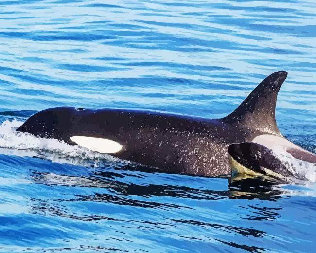 black and white whales Diamond With Numbers Black And White Whales Diamond Painting