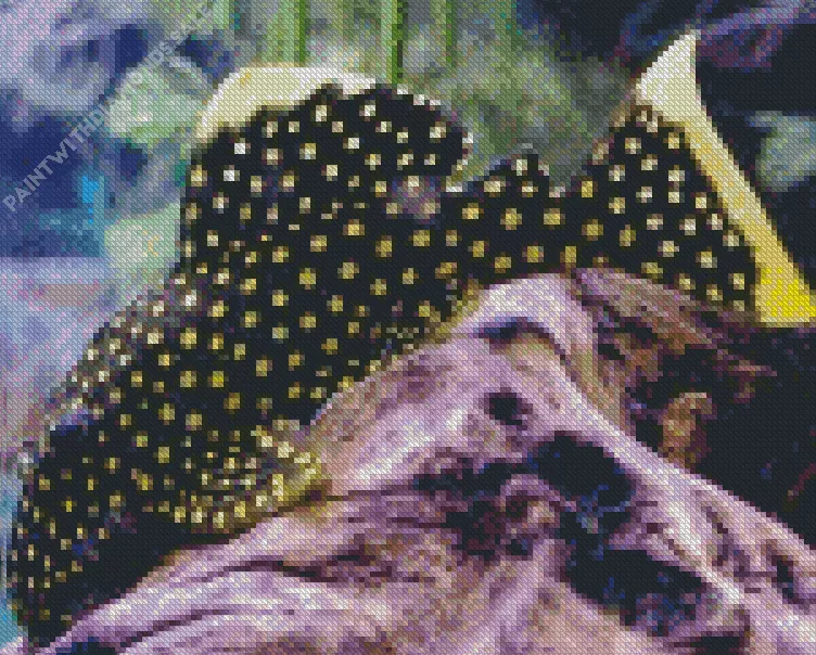 black and yellow Pleco Fish Diamond With Numbers Black And Yellow Pleco Fish Diamond Painting