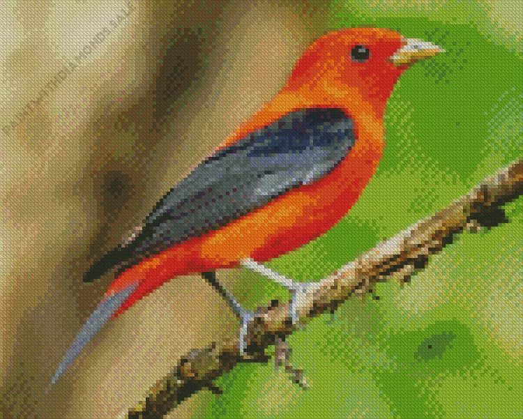 black winged Summer Tanager Diamond Dotz Black Winged Summer Tanager Diamond Painting