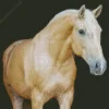 Blonde Palomino Diamond Painting
