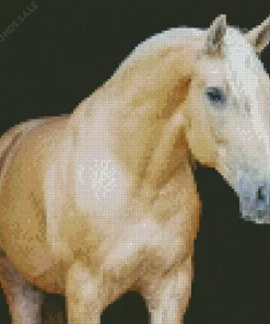 Blonde Palomino Diamond Painting