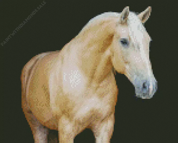 blonde Palomino Diamond By Numbers Blonde Palomino Diamond Painting