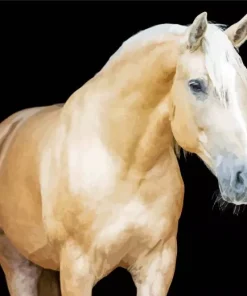 Blonde Palomino Diamond Painting
