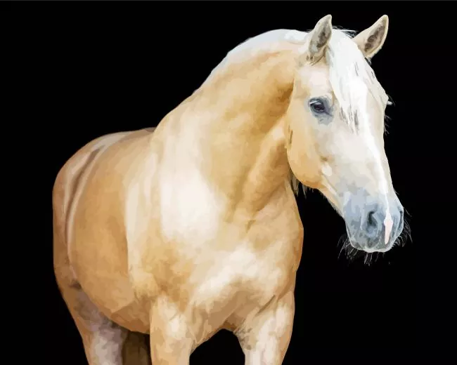 blonde Palomino Diamond Paintings Blonde Palomino Diamond Painting