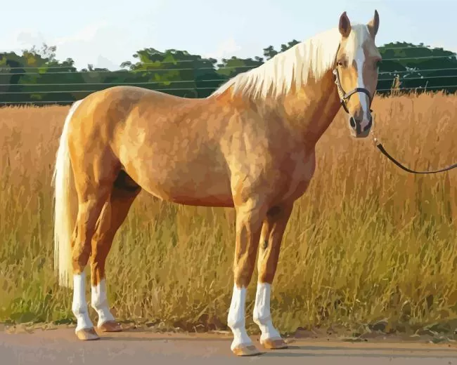 blonde Palomino horse Diamond Paintings Blonde Palomino Horse Diamond Painting
