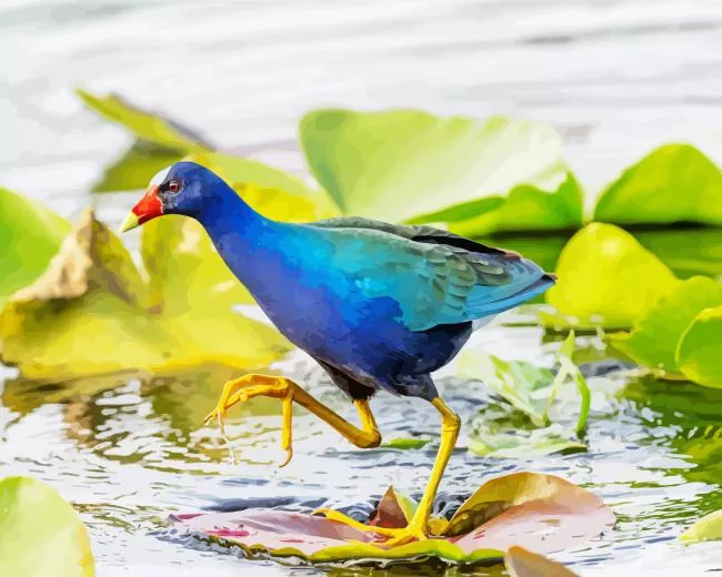 blue American Purple Gallinule bird Diamond By Numbers Blue American Purple Gallinule Bird Diamond Painting