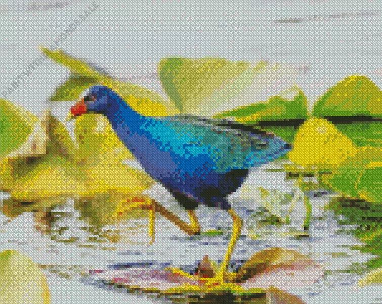 blue American Purple Gallinule bird Diamond Dotz Blue American Purple Gallinule Bird Diamond Painting