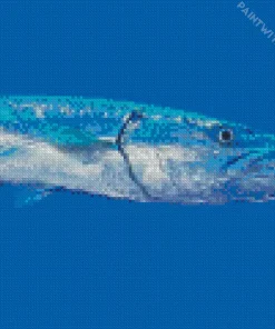 Blue Barracuda Fish Diamond Painting