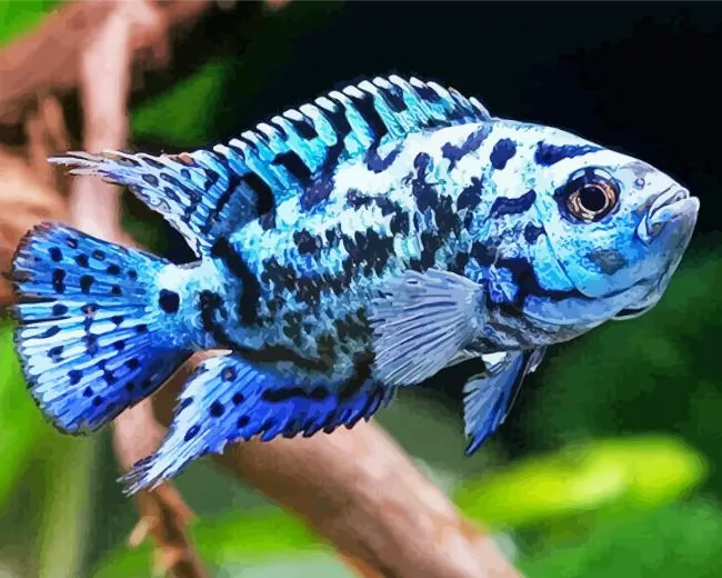 blue Cichlid Diamond Paints Blue Cichlid Diamond Painting