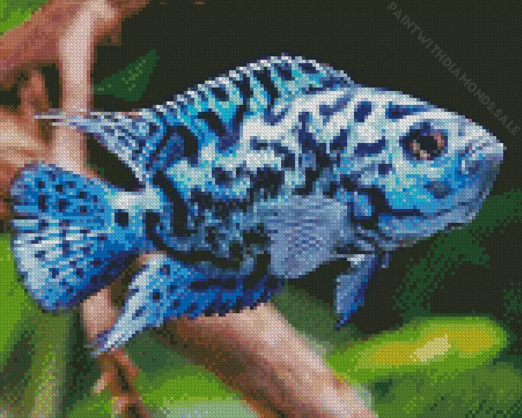blue Cichlid Diamond With Numbers Blue Cichlid Diamond Painting