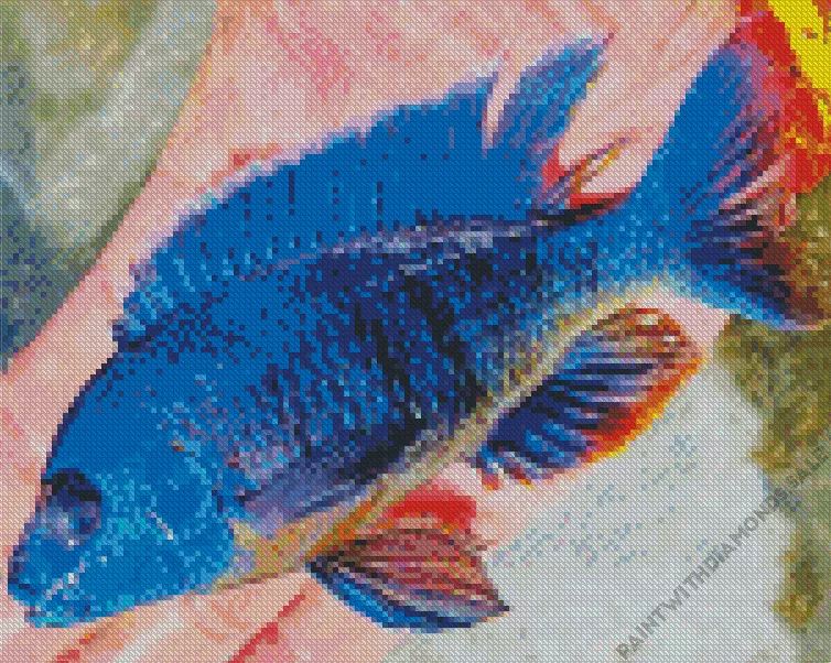 blue Cichlid fish Diamond With Numbers Blue Cichlid Fish Diamond Painting