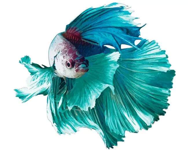 blue Siamese fighting fish Diamond With Numbers Blue Siamese Fighting Fish Diamond Painting