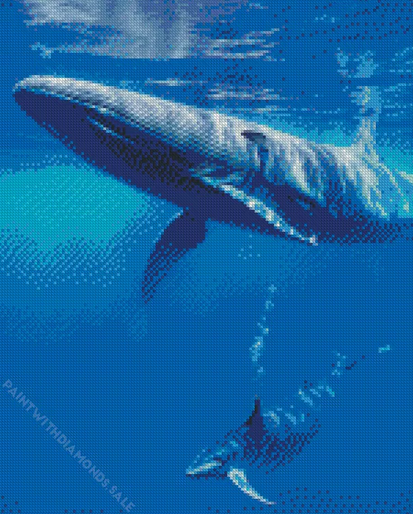 blue Whale Diamond Paintings Blue Whale Diamond Painting