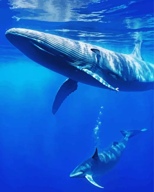 blue Whale Diamond With Numbers Blue Whale Diamond Painting