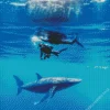 Blue Whale In Front Of A Driver Diamond Painting