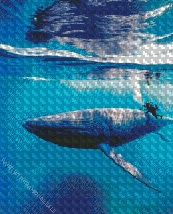 blue Whale underwater Diamond Paintings Blue Whale Underwater Diamond Painting