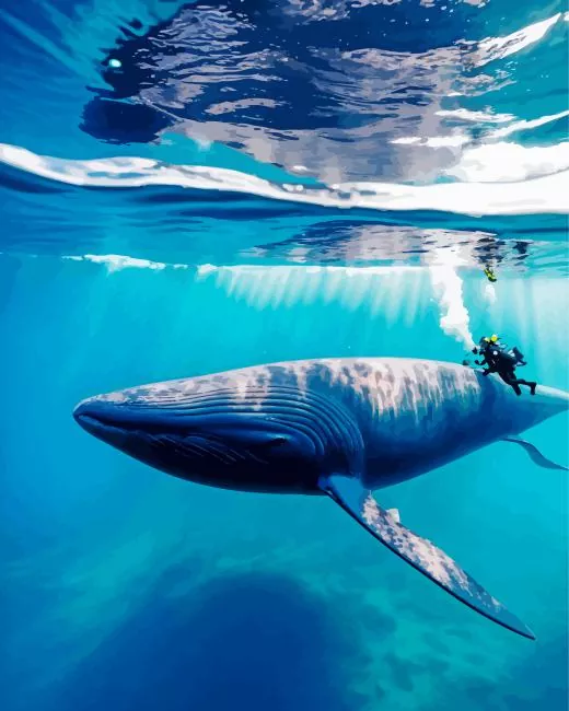 blue Whale underwater Diamond With Numbers Blue Whale Underwater Diamond Painting