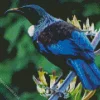 Blue Cute Tui Bird Diamond Painting