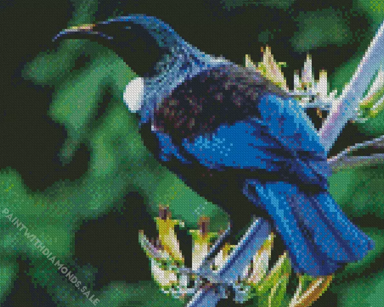blue cute Tui bird Diamond By Numbers Blue Cute Tui Bird Diamond Painting